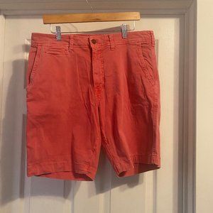 American Eagle Men's Shorts